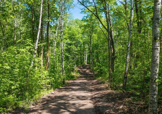 Homes for sale in Ironton, MN | Lot 1 County Road 12, Ironton, MN 56455 | MLS# 7074988