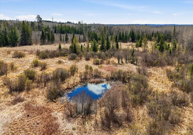 Homes for sale in Angora, MN | Tbd Hwy 25, Angora, MN 55703 | MLS# 7075179