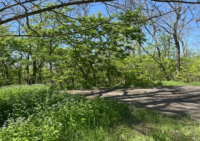 Photo 1 of Land for sale at Xxx S Adams St, Saint Croix Falls, WI 54024 | MLS# 7075278 | Listing updated on 2026-10-07