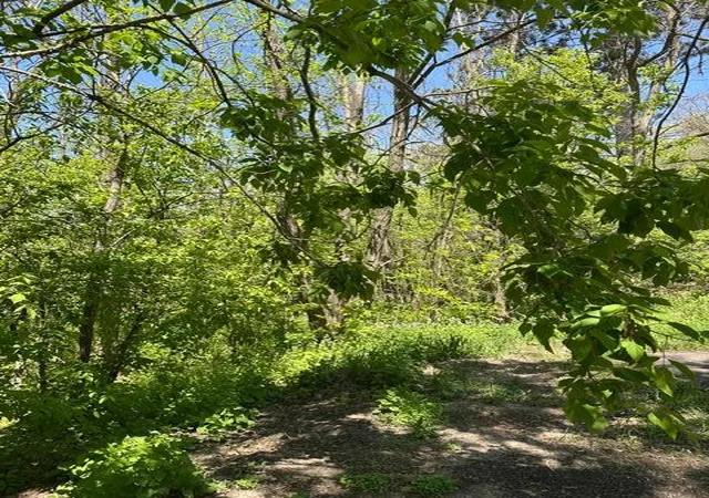 Photo 3 of Land for sale at Xxx S Adams St, Saint Croix Falls, WI 54024 | MLS# 7075278 | Listing updated on 2026-10-07