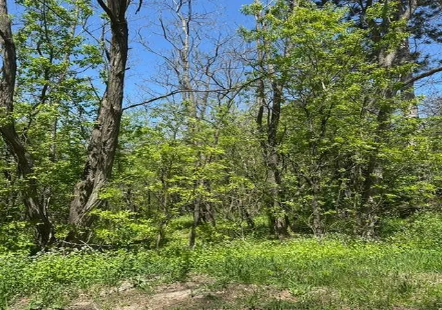 Photo 4 of Land for sale at Xxx S Adams St, Saint Croix Falls, WI 54024 | MLS# 7075278 | Listing updated on 2026-10-07