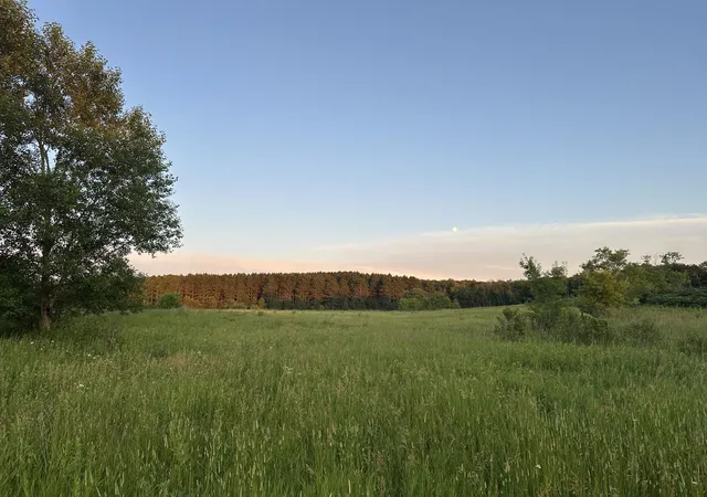 118th image of 22939 510th Ave, Henning, MN 56551 | MLS# 7075318