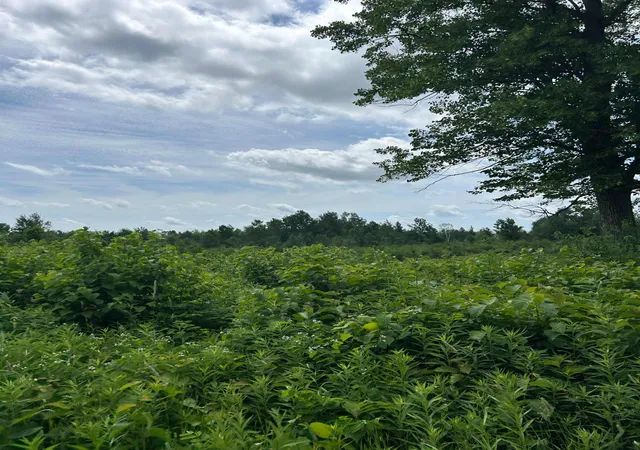 1st image of Tbd Duncan Rd, Sandstone, MN 55072 | MLS# 7075448