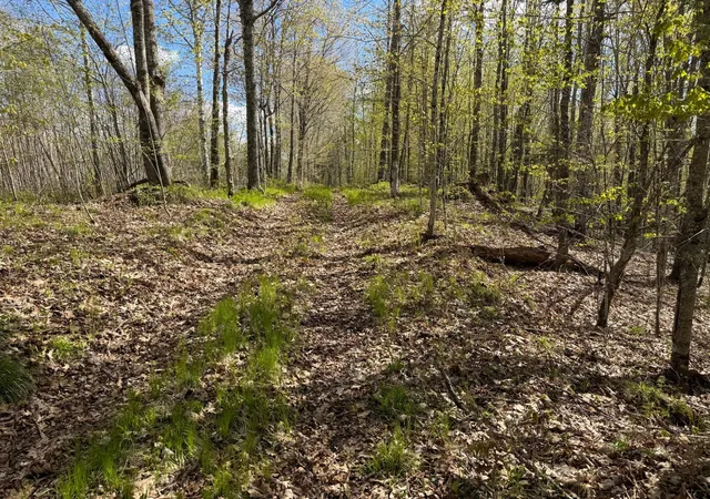Homes for sale in Birchwood, WI | Tbd Leonard Rd, Birchwood, WI 54817 | MLS# 7075462