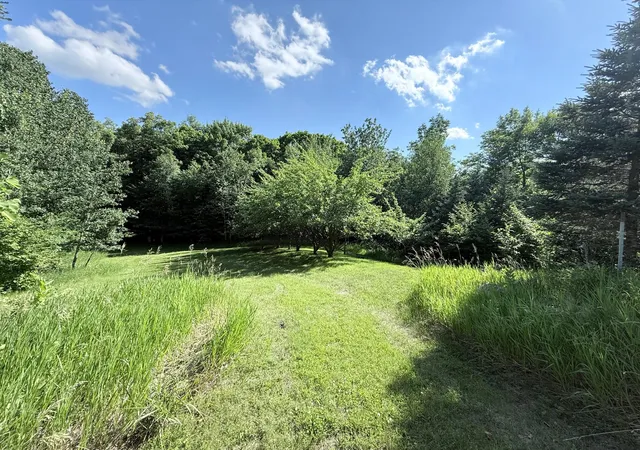 Homes for sale in Vergas, MN | 50050 Leek Lake Dr, Vergas, MN 56587 | MLS# 7075558