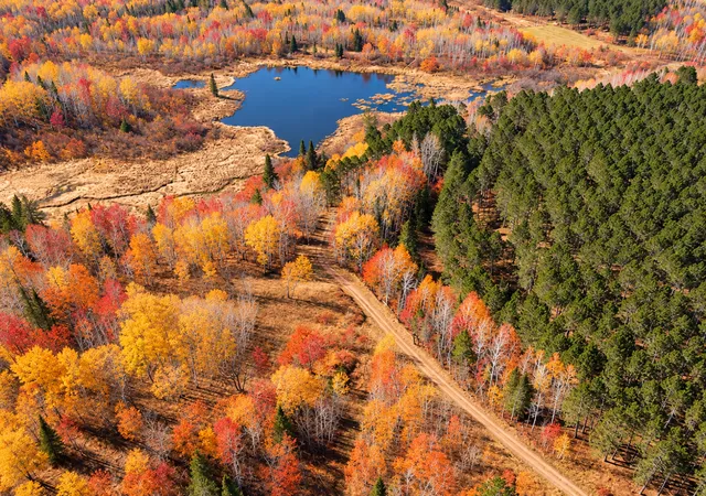 Photo 1 of Land for sale at Tbd (280ac) Maple Grv Rd, Cloquet, MN 55720 | MLS# 7075597 | Listing updated on 2026-10-09
