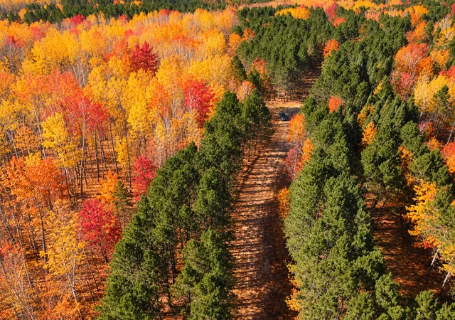 Photo 2 of Land for sale at Tbd (280ac) Maple Grv Rd, Cloquet, MN 55720 | MLS# 7075597 | Listing updated on 2026-10-09