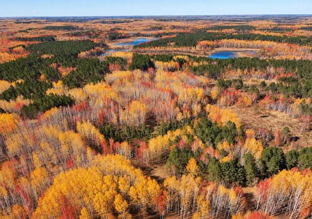 Photo 3 of Land for sale at Tbd (280ac) Maple Grv Rd, Cloquet, MN 55720 | MLS# 7075597 | Listing updated on 2026-10-09