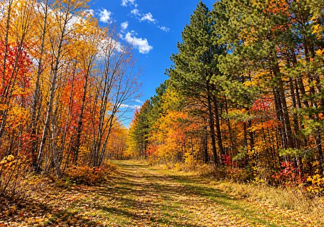 Photo 3 of Land for sale at Tbd (280ac) Maple Grv Rd, Cloquet, MN 55720 | MLS# 7075597 | Listing updated on 2026-10-09