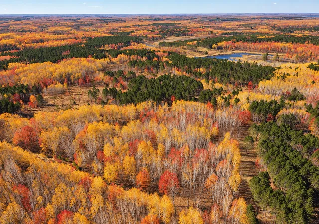 Photo 4 of Land for sale at Tbd (280ac) Maple Grv Rd, Cloquet, MN 55720 | MLS# 7075597 | Listing updated on 2026-10-09