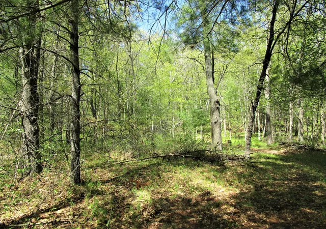 3rd image of Xx S Long Lake Rd, Siren, WI 54872 | MLS# 7075609