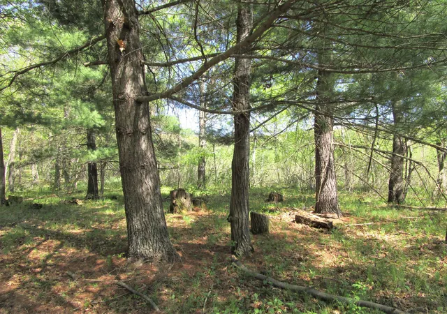 4th image of Xx S Long Lake Rd, Siren, WI 54872 | MLS# 7075609