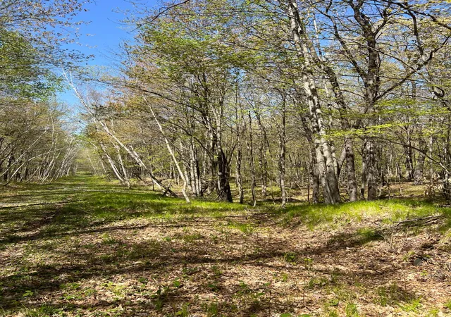 19th image of W6488 River Road, Trego, WI 54888 | MLS# 7075806