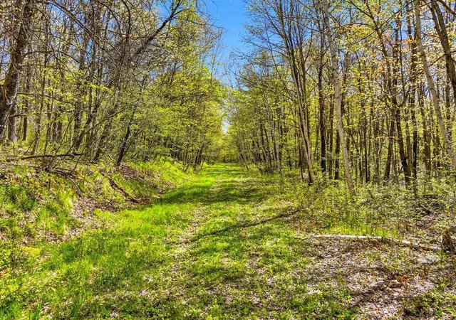 1st image of W6488 River Road, Trego, WI 54888 | MLS# 7075806