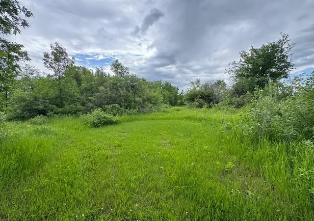 84th image of 14717 State 210, Hewitt, MN 56453 | MLS# 7075945