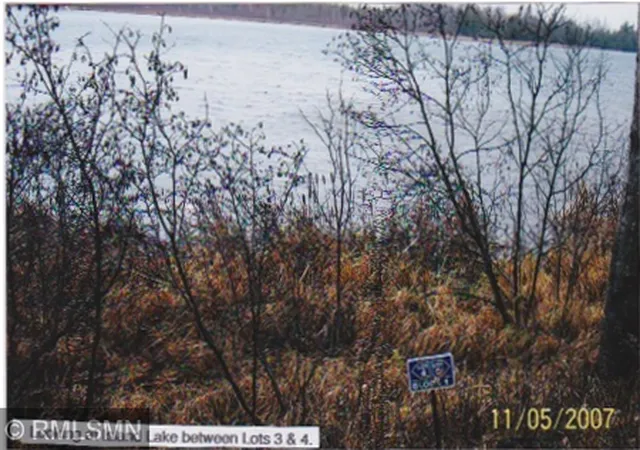 Homes for sale in Northome, MN | 4xxxx Moose Bay Trail, Northome, MN 56661 | MLS# 7076287