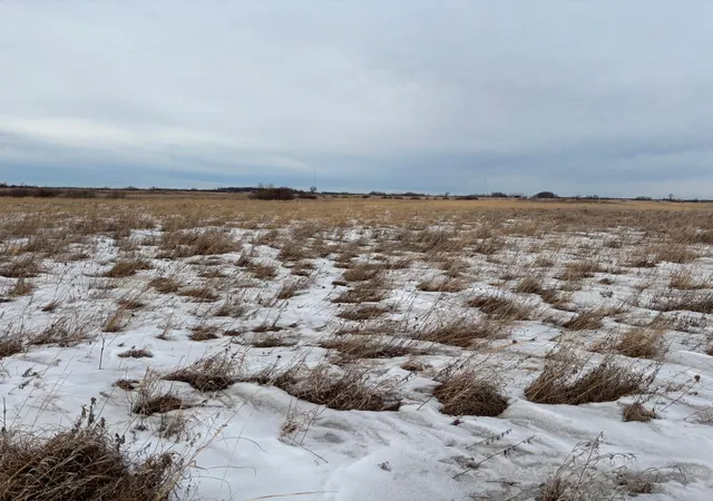 Homes for sale in Mahnomen, MN | Tbd Hwy 59, Mahnomen, MN 56557 | MLS# 7076394