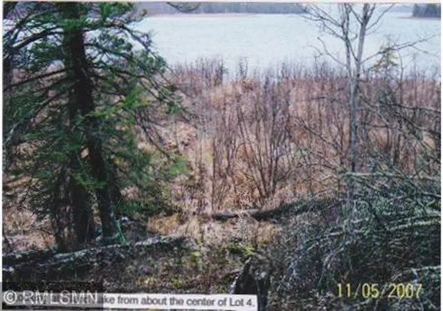 Homes for sale in Northome, MN | 6xxxx Moose Bay Trail, Northome, MN 56661 | MLS# 7076467