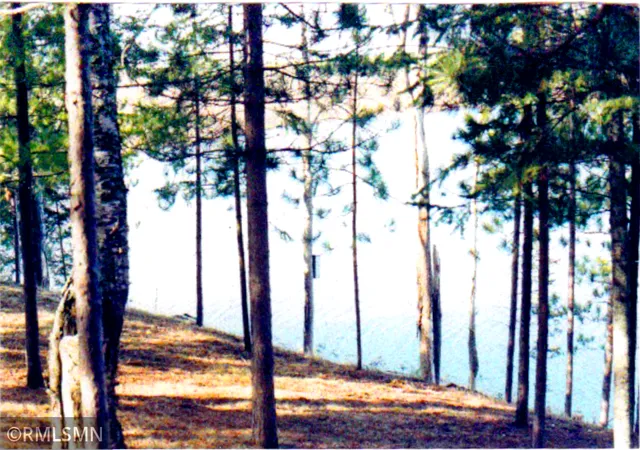 Photo 3 of Land for sale at 6xxxx Moose Bay Trl, Northome, MN 56661 | MLS# 7076467 | Listing updated on 2026-06-19