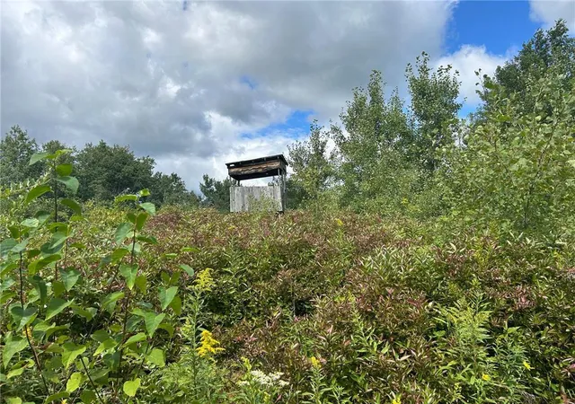 2nd image of Tbd2 Duncan Rd, Sandstone, MN 55072 | MLS# 7076471