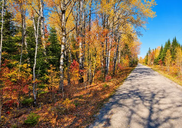 Photo 1 of Land for sale at Parcel B Township Rd D, Wawina, MN 55736 | MLS# 7076658 | Listing updated on 2026-10-08