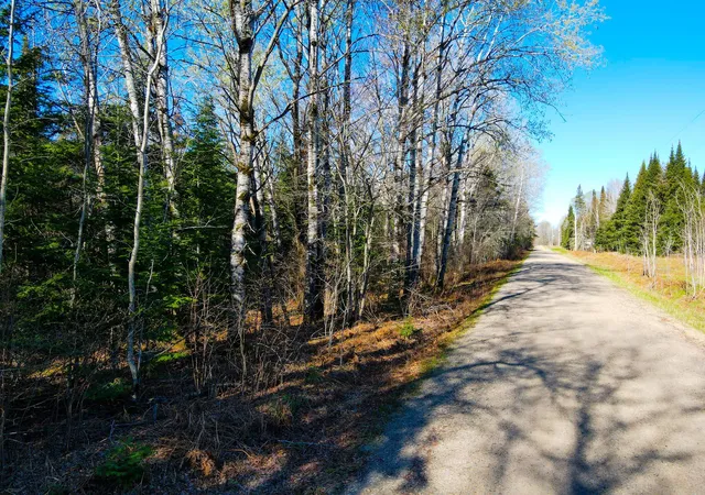 Photo 2 of Land for sale at Parcel B Township Rd D, Wawina, MN 55736 | MLS# 7076658 | Listing updated on 2026-09-08