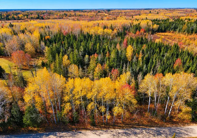 Photo 2 of Land for sale at Parcel B Township Rd D, Wawina, MN 55736 | MLS# 7076658 | Listing updated on 2026-10-08