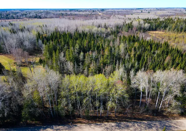 Photo 3 of Land for sale at Parcel B Township Rd D, Wawina, MN 55736 | MLS# 7076658 | Listing updated on 2026-09-08