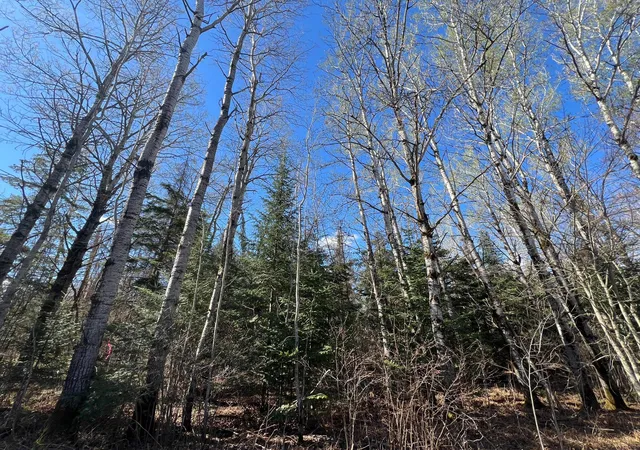 Photo 3 of Land for sale at Parcel B Township Rd D, Wawina, MN 55736 | MLS# 7076658 | Listing updated on 2026-09-08