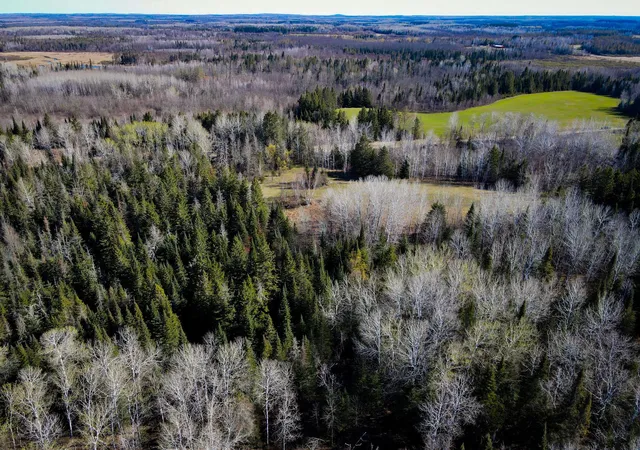Photo 2 of Land for sale at 12905 Township Rd D, Wawina, MN 55736 | MLS# 7076686 | Listing updated on 2026-09-08