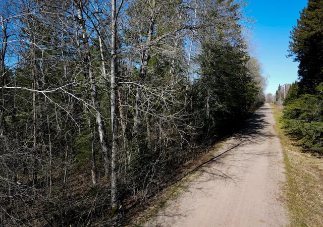 Photo 3 of Land for sale at 12905 Township Rd D, Wawina, MN 55736 | MLS# 7076686 | Listing updated on 2026-09-08