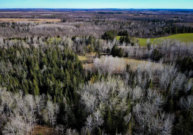 Photo 3 of Land for sale at 12905 Township Rd D, Wawina, MN 55736 | MLS# 7076686 | Listing updated on 2026-09-08