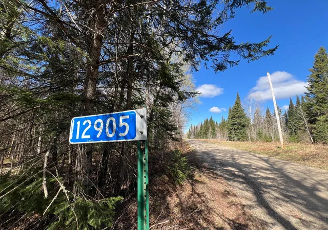 Photo 4 of Land for sale at 12905 Township Rd D, Wawina, MN 55736 | MLS# 7076686 | Listing updated on 2026-09-08