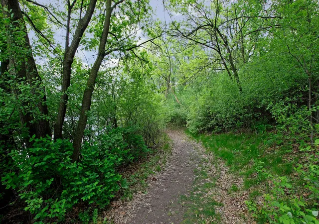 23rd image of 4681 Horten Pt, Eagan, MN 55122 | MLS# 7076842