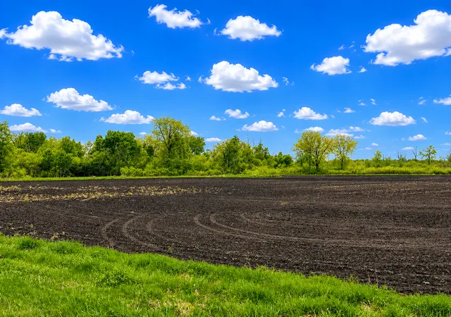 Photo 4 of Land for sale at 000 Xenon Rd NW, Dalbo, MN 55017 | MLS# 7077139 | Listing updated on 2026-08-17