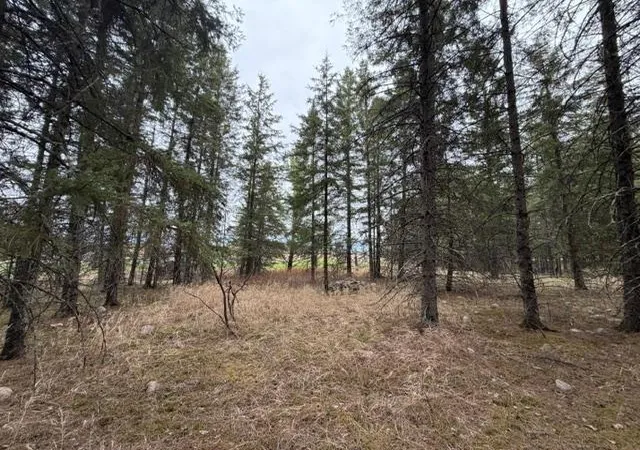 13th image of Tbd 5th Tbd 5th St Se, Cook, MN 55723 | MLS# 7077173