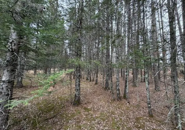 1st image of Tbd 5th Tbd 5th St Se, Cook, MN 55723 | MLS# 7077173