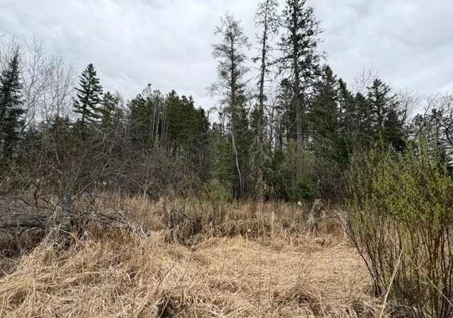 3rd image of Tbd 5Th Tbd 5Th St Se, Cook, MN 55723 | MLS# 7077173