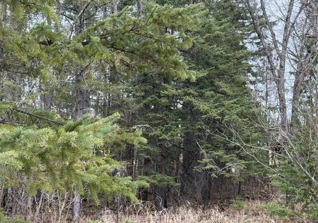 4th image of Tbd 5Th Tbd 5Th St Se, Cook, MN 55723 | MLS# 7077173