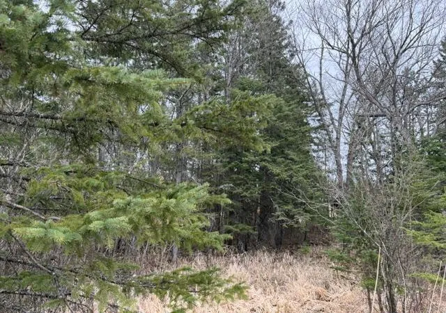 5th image of Tbd 5Th Tbd 5Th St Se, Cook, MN 55723 | MLS# 7077173