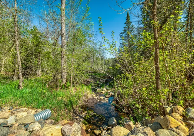 image of Tbd S Thunder Lake Dr Ne, Remer, MN 56672 | MLS# 7077246