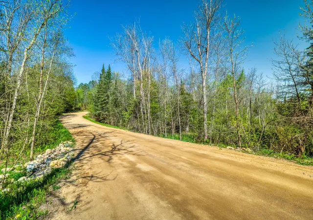 image of Tbd S Thunder Lake Dr Ne, Remer, MN 56672 | MLS# 7077246
