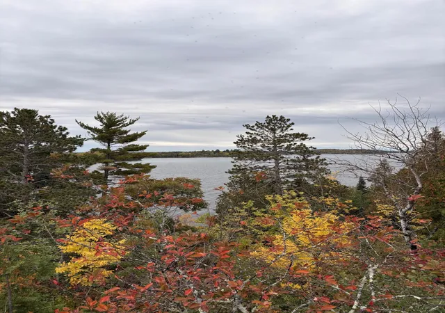Photo 3 of Land for sale at 95642 Pine Is, Tower, MN 55790 | MLS# 7077405 | Listing updated on 2026-09-29