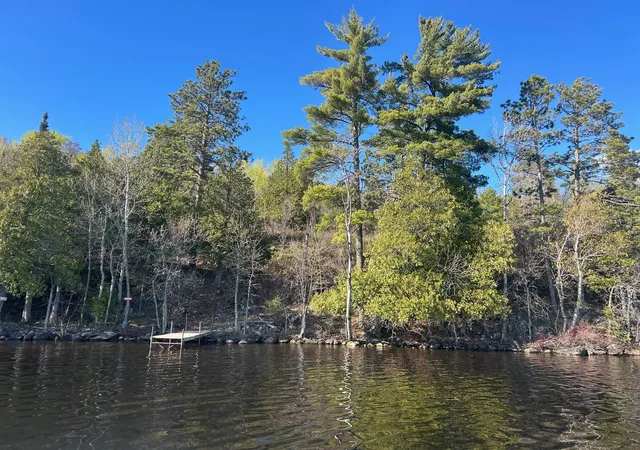 Photo 4 of Land for sale at 95642 Pine Is, Tower, MN 55790 | MLS# 7077405 | Listing updated on 2026-07-24