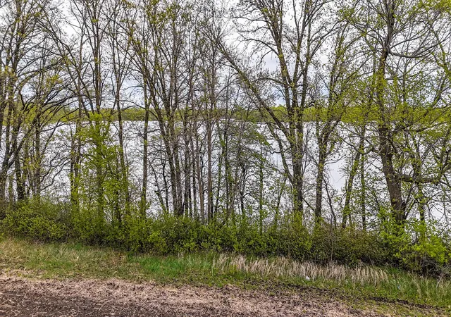 Homes for sale in Vergas, MN | Tbd County Rd 4, Vergas, MN 56587 | MLS# 7077455