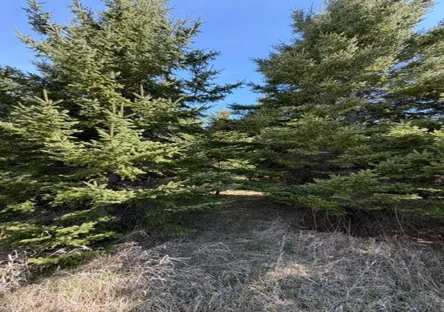 image of Tbd 66th Ave Ne, Remer, MN 56672 | MLS# 7077689