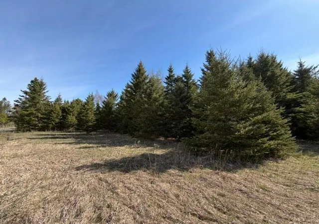 image of Tbd 66th Ave Ne, Remer, MN 56672 | MLS# 7077689
