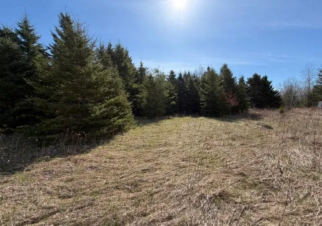 image of Tbd 66th Ave Ne, Remer, MN 56672 | MLS# 7077689