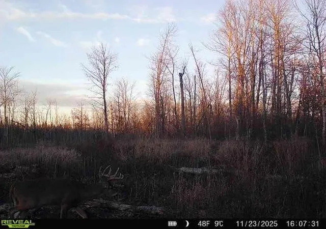1st image of Xxx Fleming Logging Rd, Hinckley, MN 55037 | MLS# 7077710