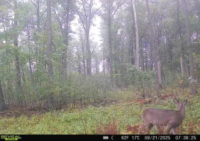 2nd image of Xxx Fleming Logging Rd, Hinckley, MN 55037 | MLS# 7077710